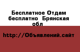 Бесплатное Отдам бесплатно. Брянская обл.